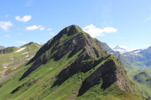 Foto di copertina