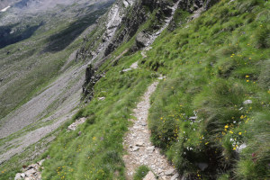 Sentiero che scende all'Alpe di Quarnei