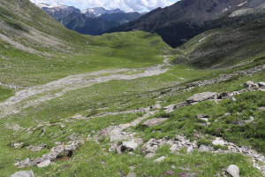 Sentiero che scende all'Alpe di Quarnei