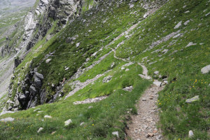 Sentiero che scende all'Alpe di Quarnei