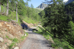 Strada verso l'Alpe di Pozzo