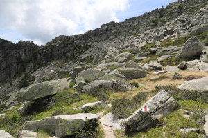 Sentiero verso il Rifugio Alpe Masnee