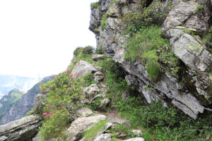 Sentiero verso il Rifugio Alpe Masnee