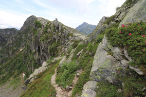 Sentiero verso il Rifugio Alpe Masnee