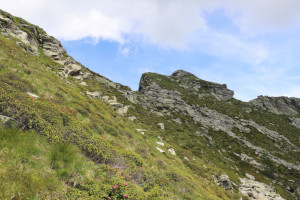 Via di salita alla Cima del Masnee