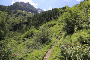 Sentiero che sale al Laghetto di Chironico