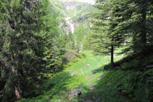 Sentiero verso il Laghetto di Chironico