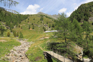 Alpe di Pozzo