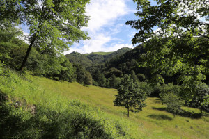 Prato con Monte Boglia