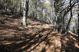 Sentiero che sale al Monte Paglione