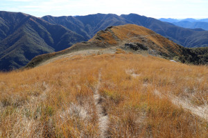 Sentiero che scende al Monte Corbaro