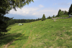 Alpe d'Arbino