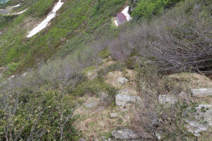 Traccia che scende dalla Bocchetta di Albano