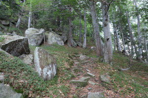 Sentiero che sale in Cima alle Piode